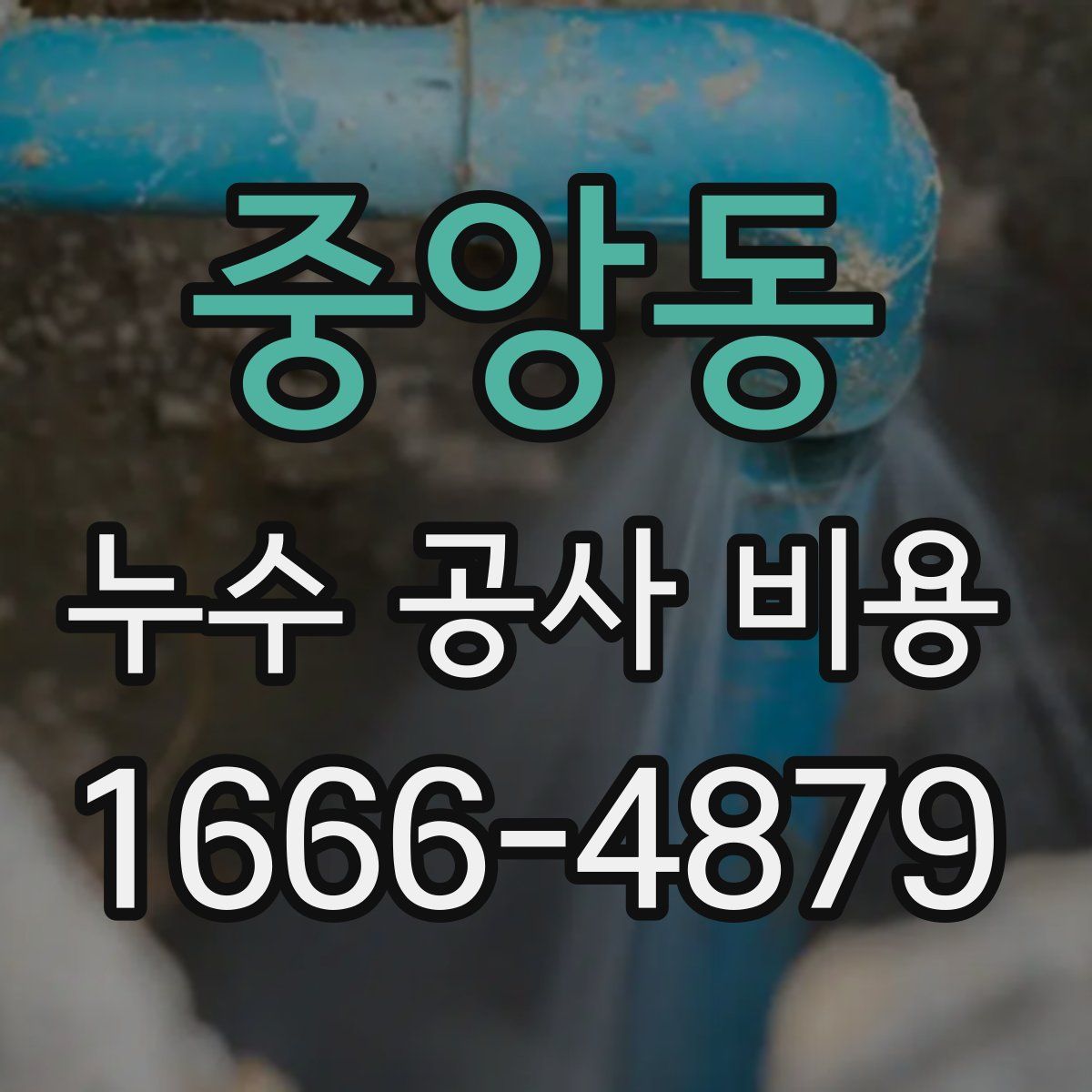 중앙동 누수 공사 비용