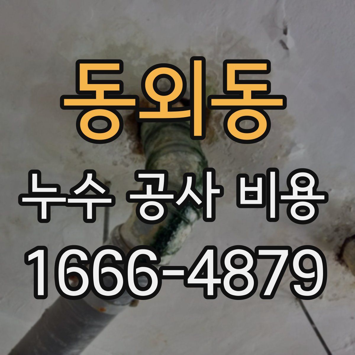 동외동 누수 공사 비용