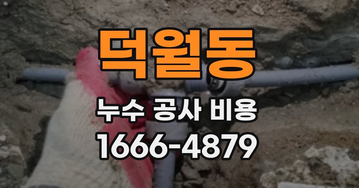 덕월동 누수 공사 비용