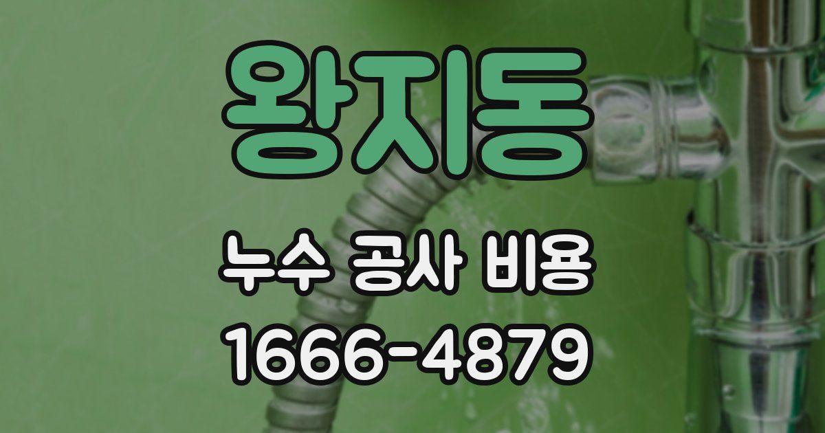 왕지동 누수 공사 비용