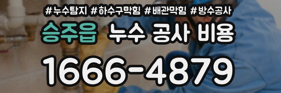 승주읍 누수 공사 비용