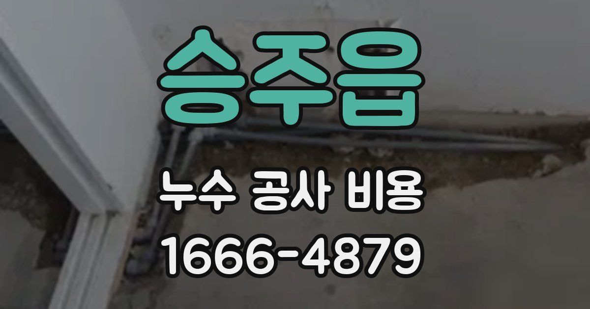 승주읍 누수 공사 비용