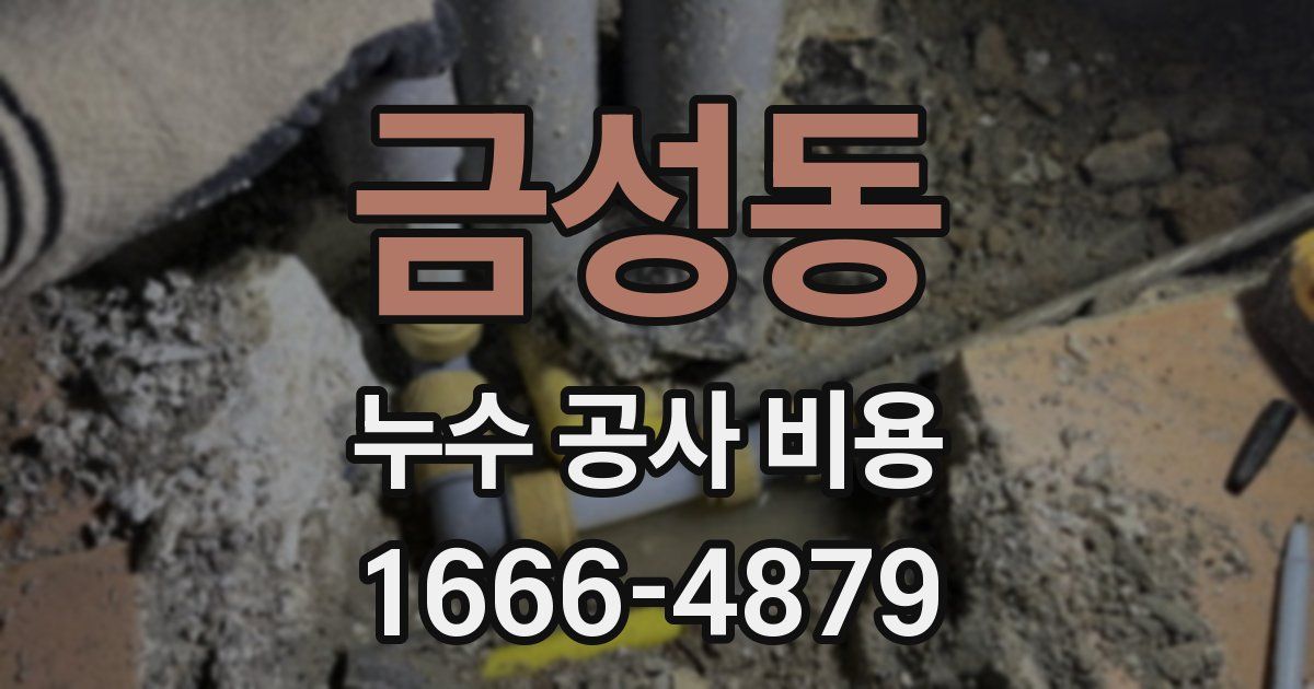 금성동 누수 공사 비용