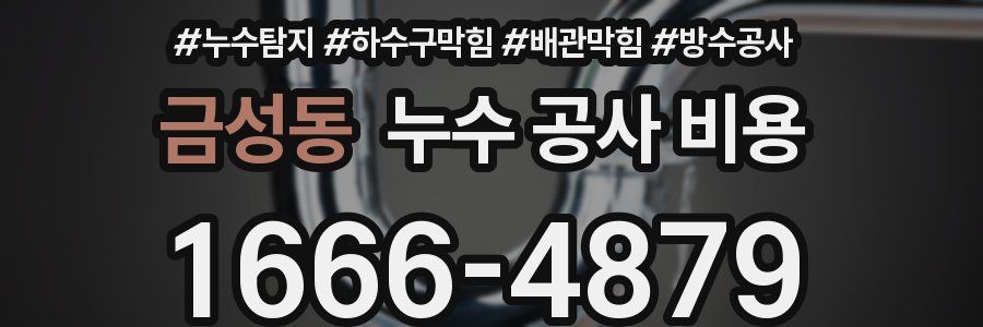 금성동 누수 공사 비용