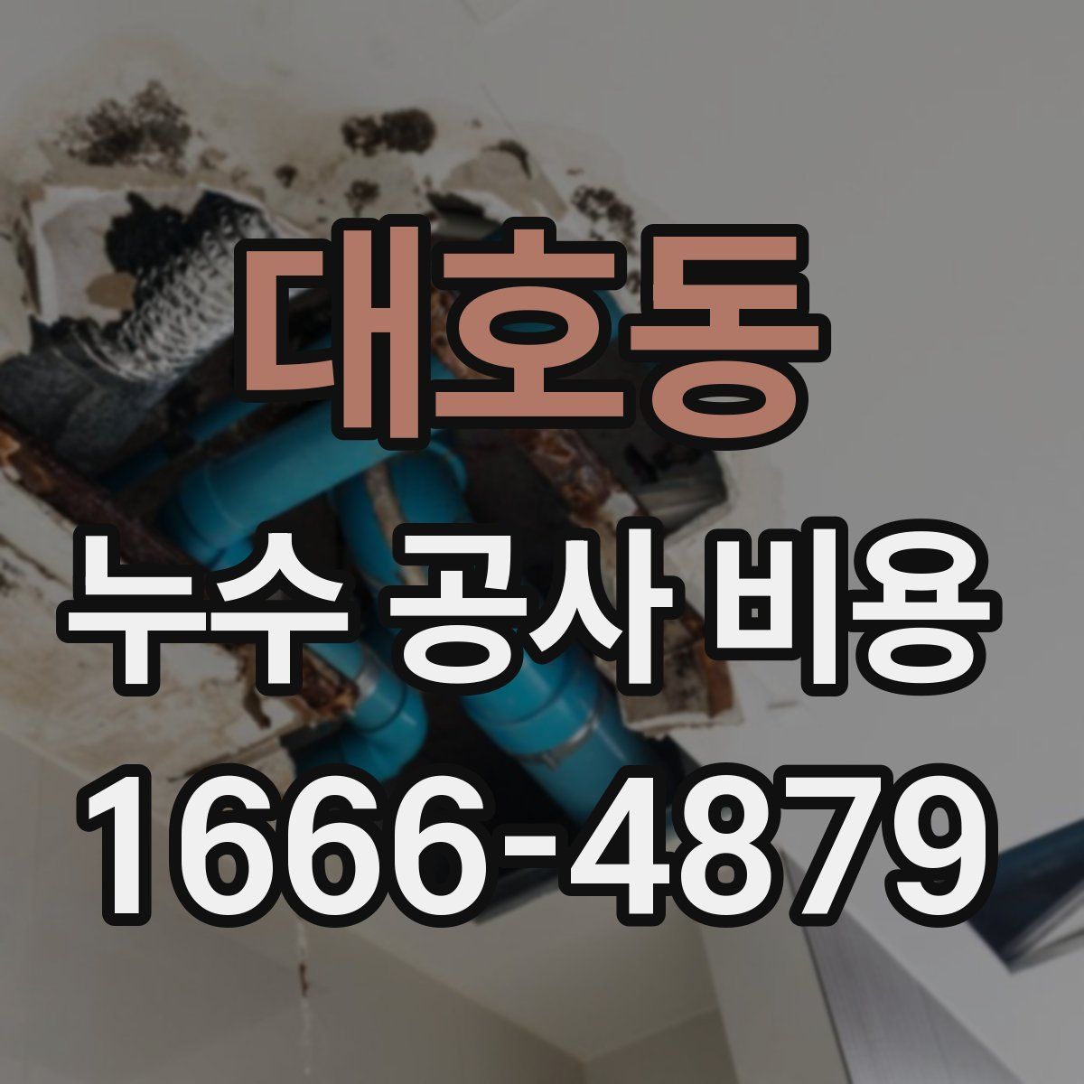 대호동 누수 공사 비용