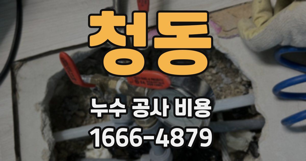청동 누수 공사 비용