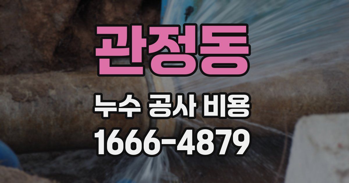 관정동 누수 공사 비용