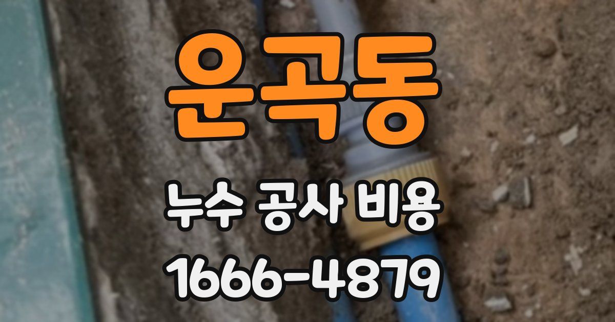 운곡동 누수 공사 비용