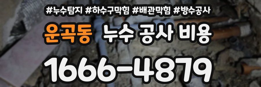 운곡동 누수 공사 비용