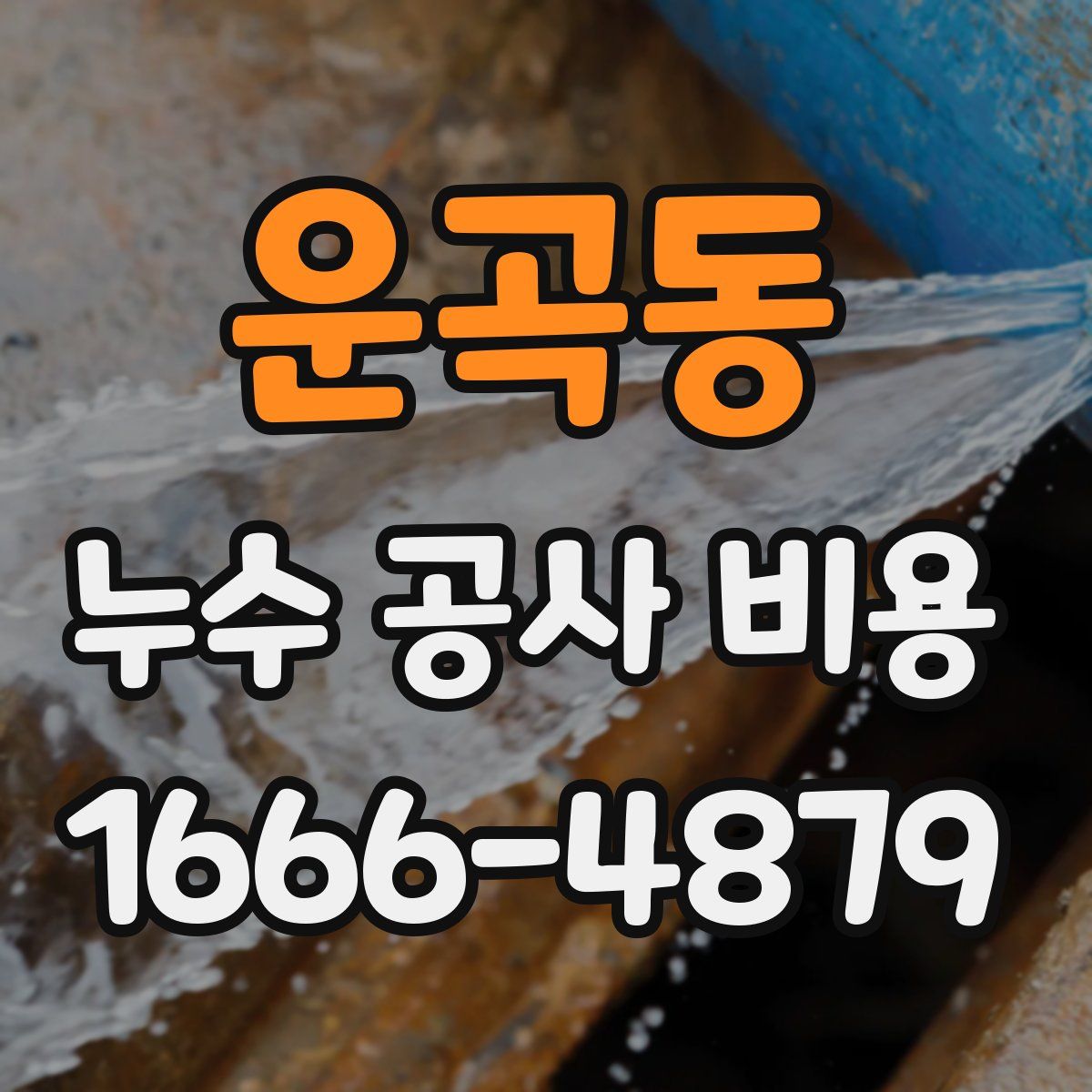 운곡동 누수 공사 비용
