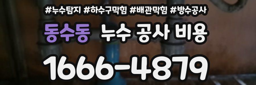 동수동 누수 공사 비용