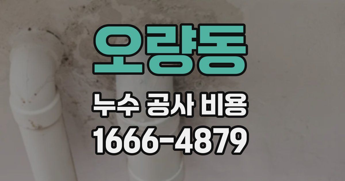 오량동 누수 공사 비용