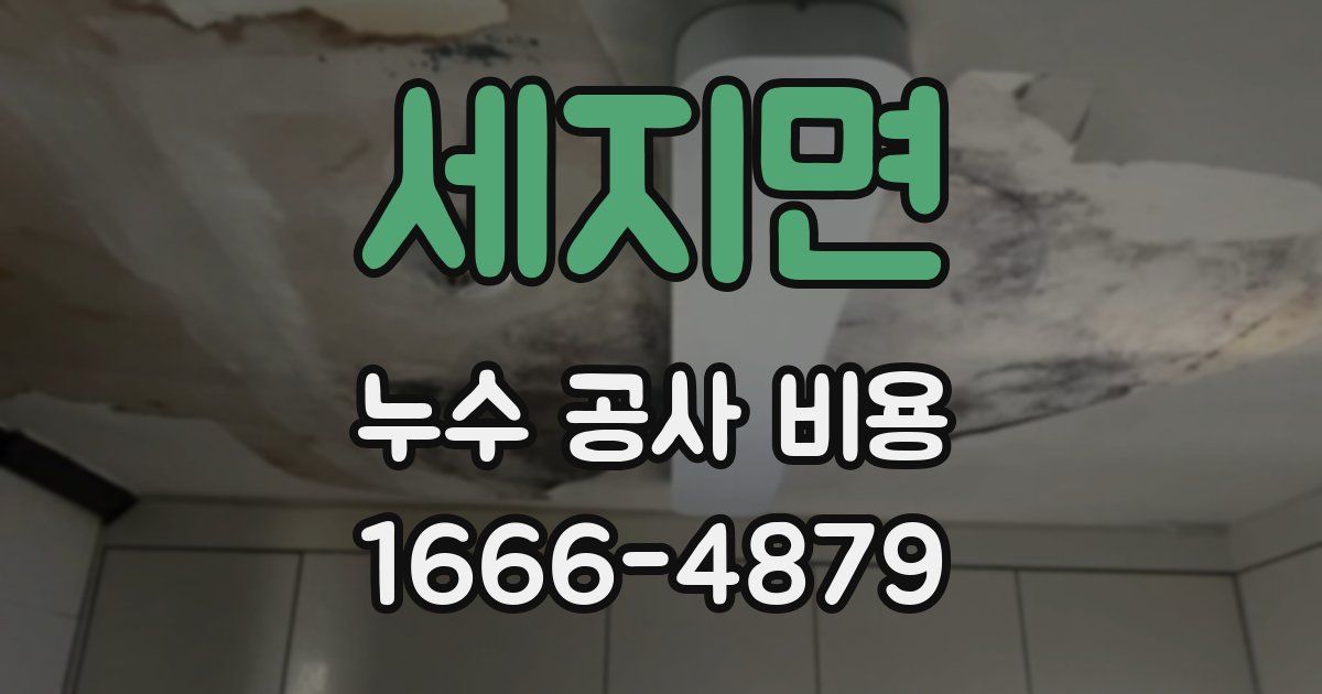세지면 누수 공사 비용