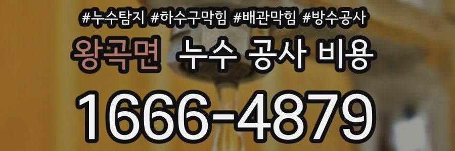 왕곡면 누수 공사 비용