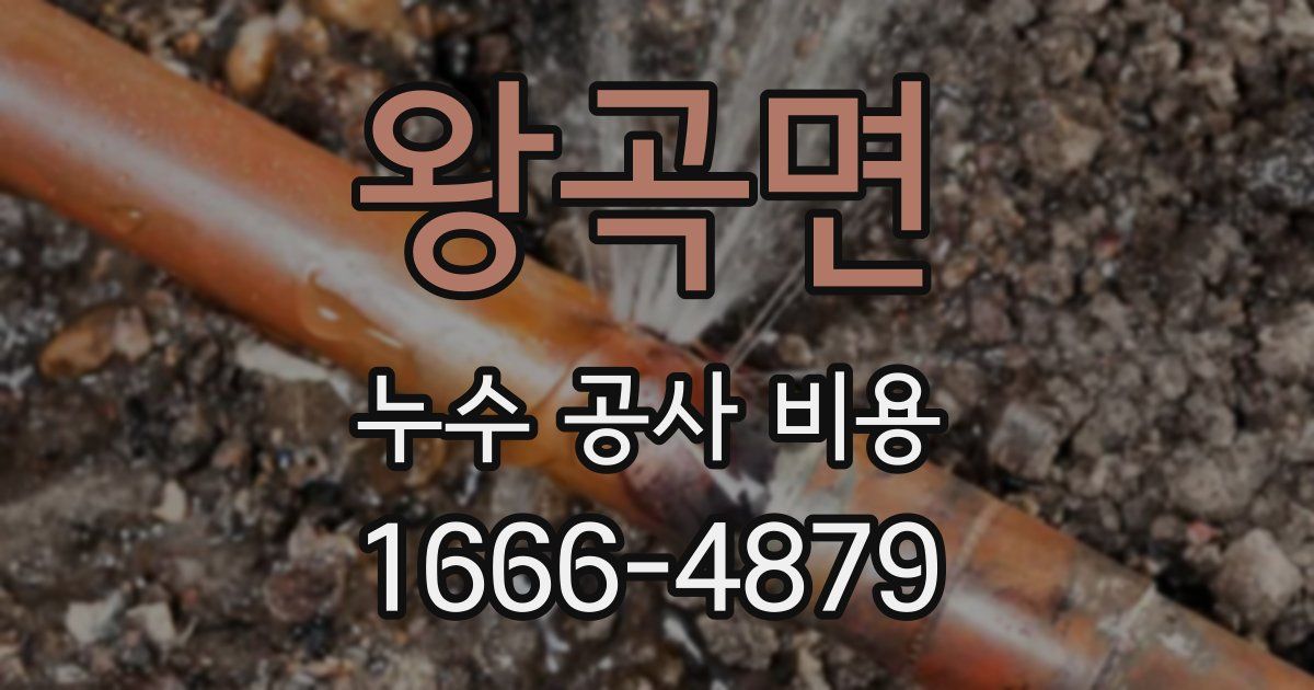 왕곡면 누수 공사 비용