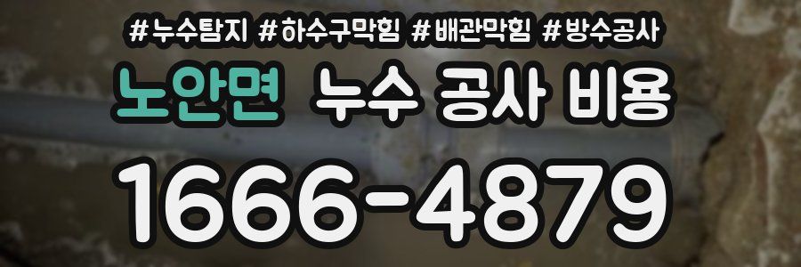 노안면 누수 공사 비용