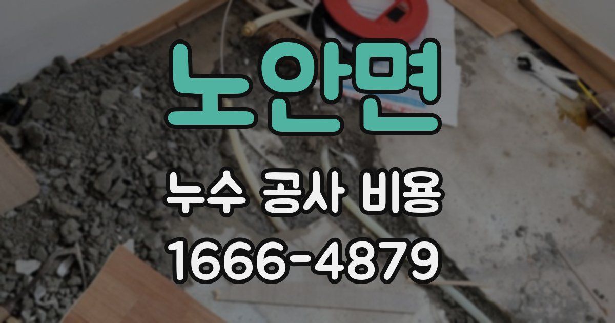 노안면 누수 공사 비용