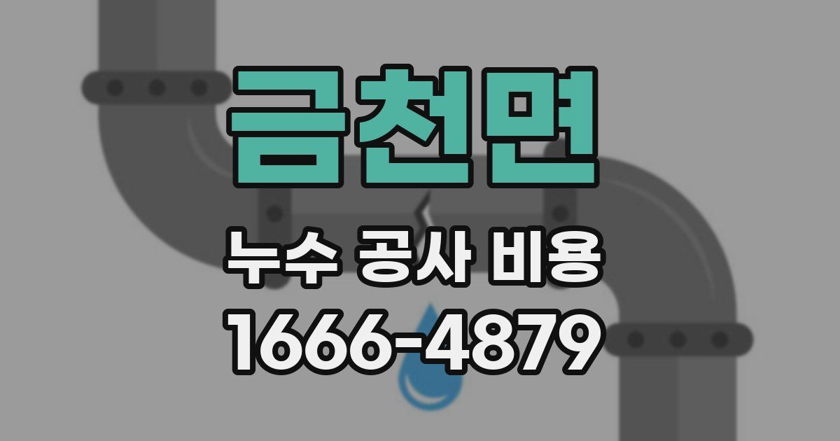 금천면 누수 공사 비용