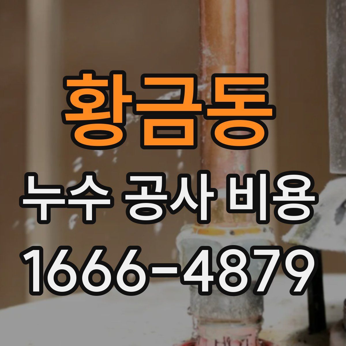 황금동 누수 공사 비용