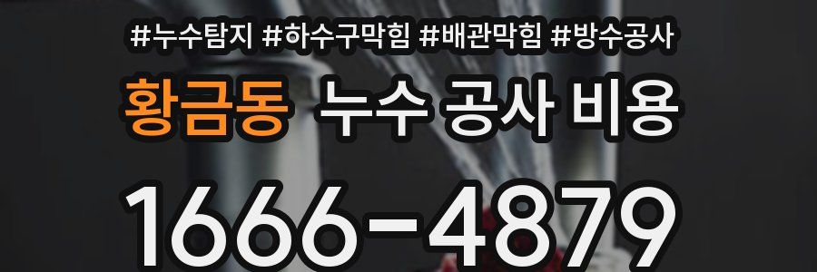황금동 누수 공사 비용