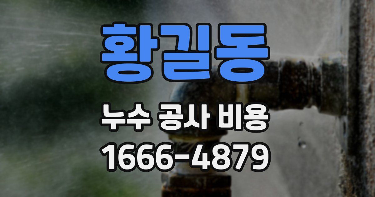 황길동 누수 공사 비용
