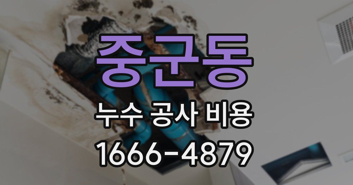 중군동 누수 공사 비용
