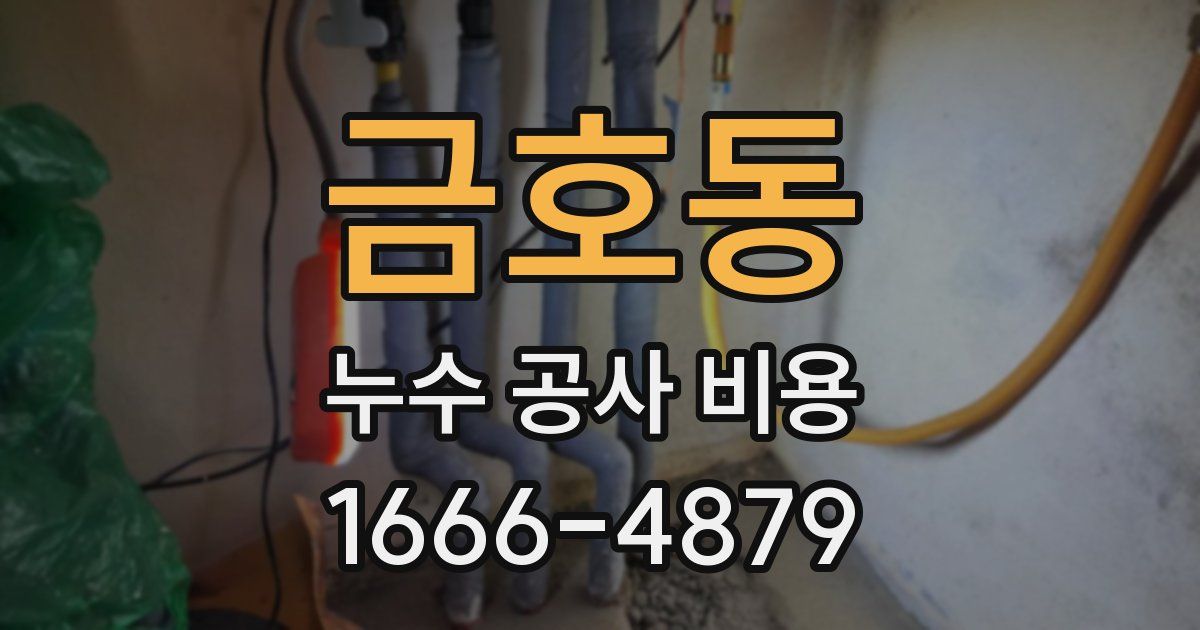 금호동 누수 공사 비용