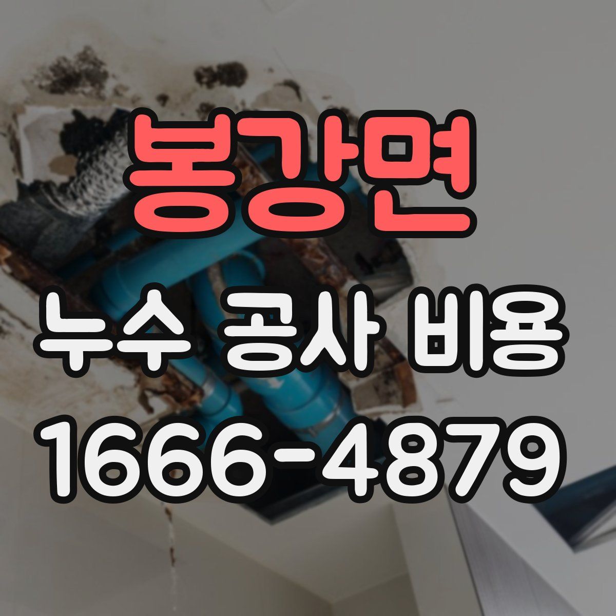 봉강면 누수 공사 비용