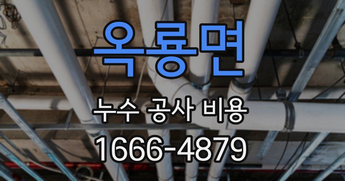 옥룡면 누수 공사 비용