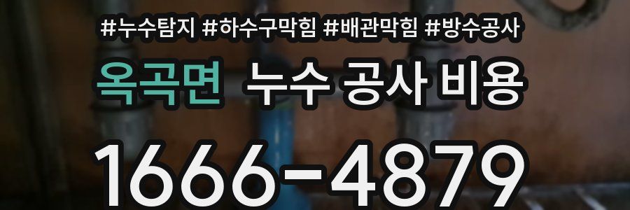 옥곡면 누수 공사 비용