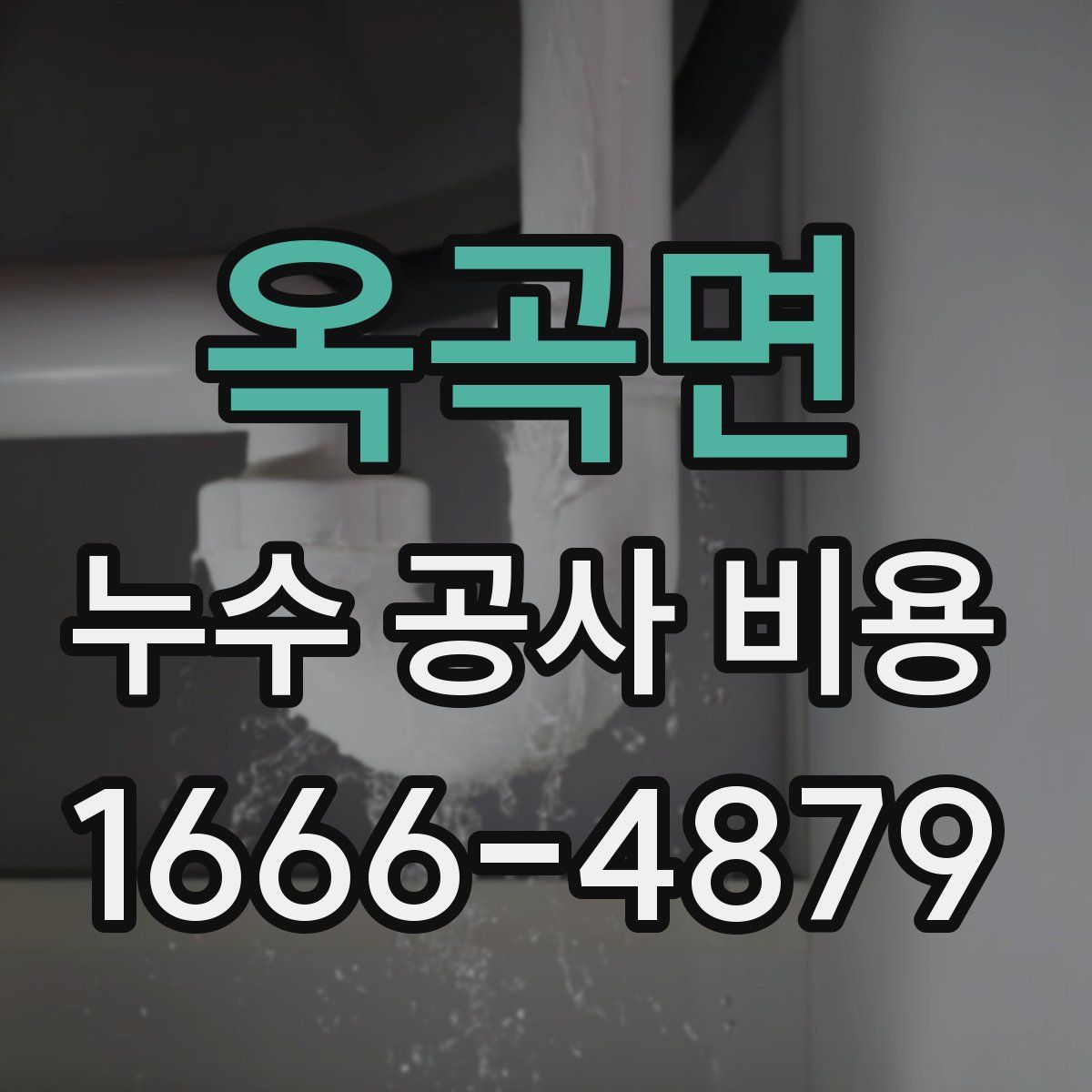 옥곡면 누수 공사 비용