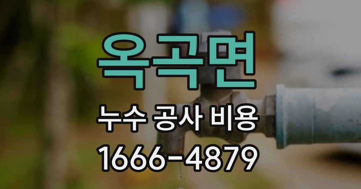 옥곡면 누수 공사 비용