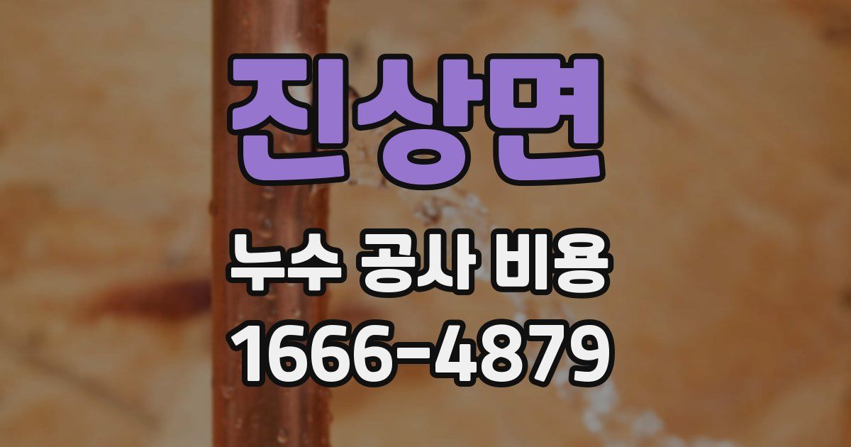 진상면 누수 공사 비용