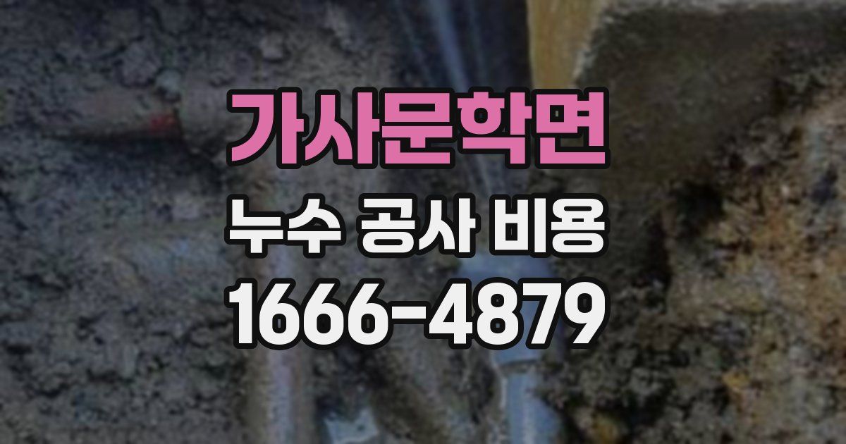 가사문학면 누수 공사 비용