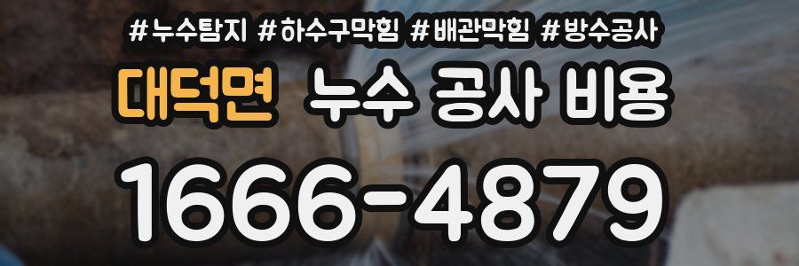 대덕면 누수 공사 비용