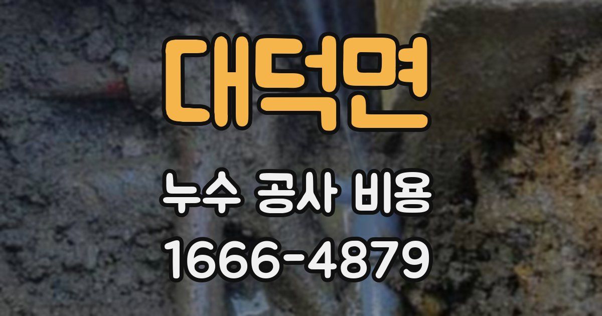 대덕면 누수 공사 비용