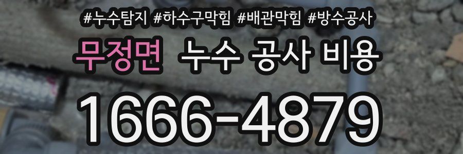 무정면 누수 공사 비용
