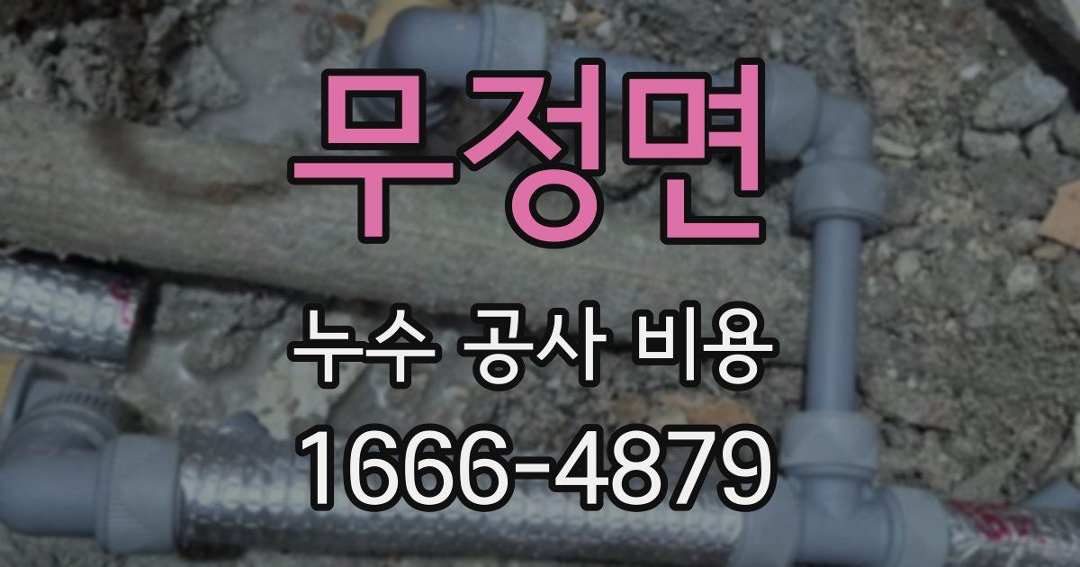 무정면 누수 공사 비용