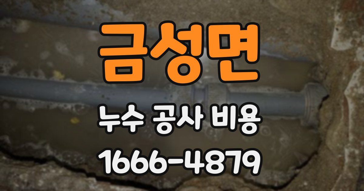 금성면 누수 공사 비용