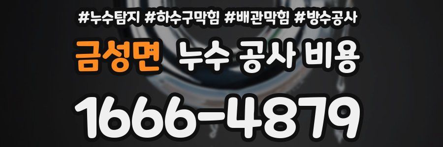 금성면 누수 공사 비용