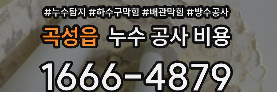 곡성읍 누수 공사 비용