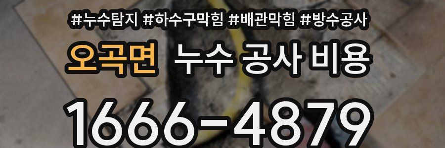 오곡면 누수 공사 비용