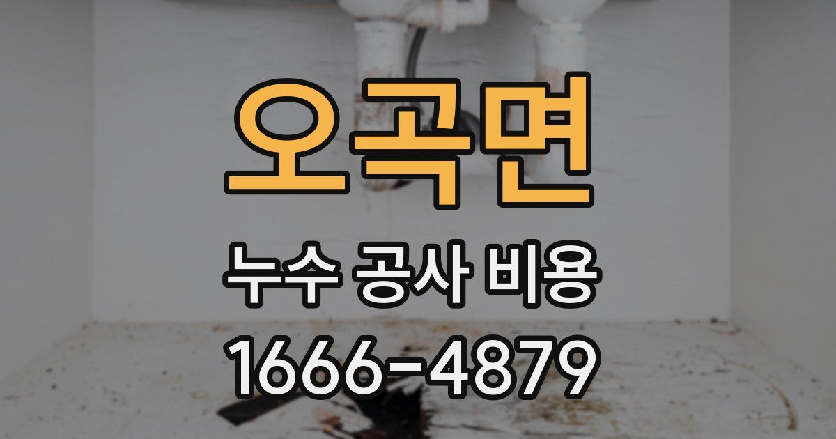 오곡면 누수 공사 비용