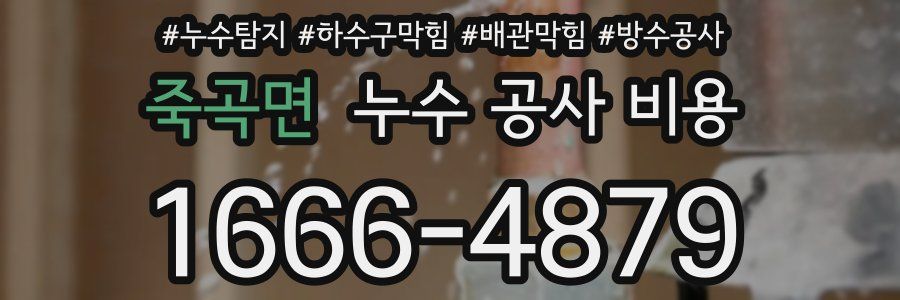 죽곡면 누수 공사 비용