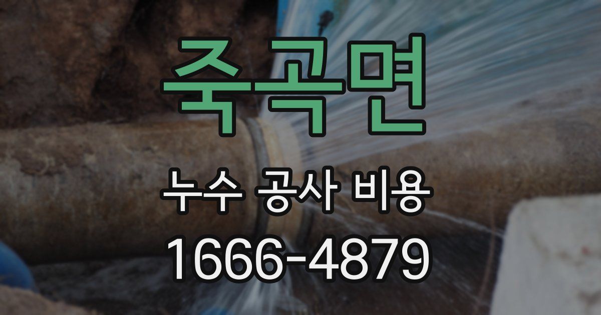 죽곡면 누수 공사 비용