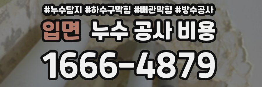 입면 누수 공사 비용