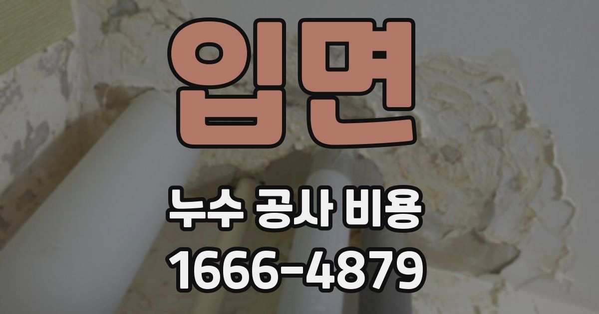 입면 누수 공사 비용