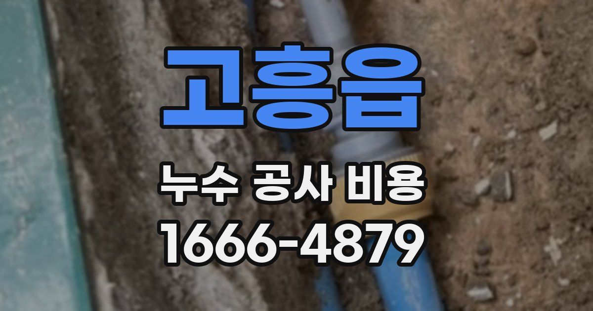고흥읍 누수 공사 비용