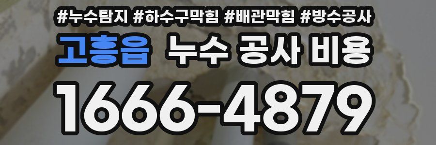 고흥읍 누수 공사 비용