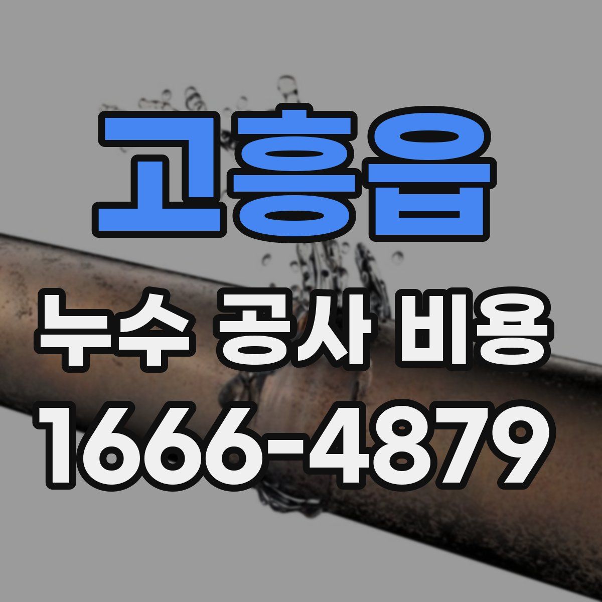 고흥읍 누수 공사 비용